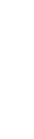 Logo_wzt_up_241120